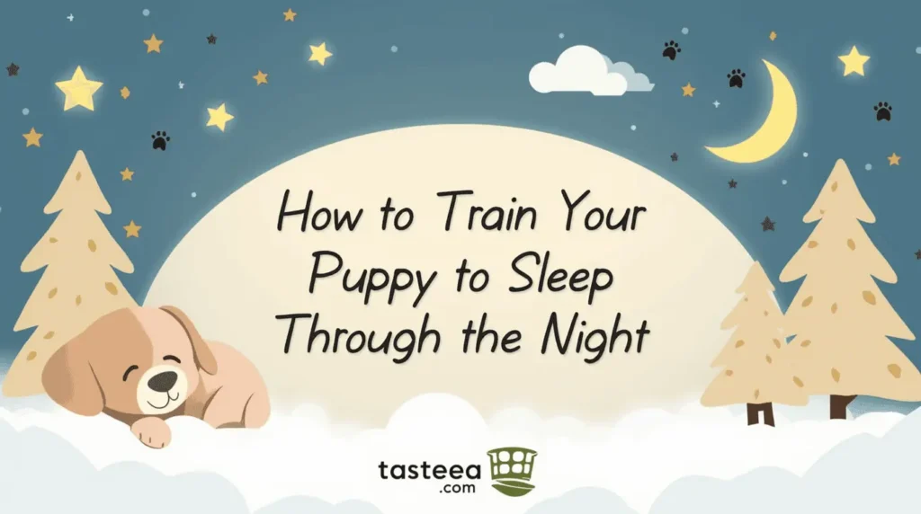 How-to-Train-Your-Puppy-to-Sleep-Through-the-Night